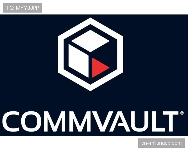 赞助商市场：德甲臂章广告价值评估报告